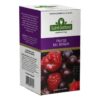 SAINT GOTTARD TE FRUTOS DEL BOSQUE 20U