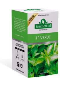 SAINT GOTTARD TE VERDE 20U