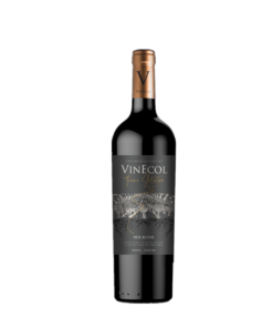 VINECOL TERROIR MALBEC 750ML