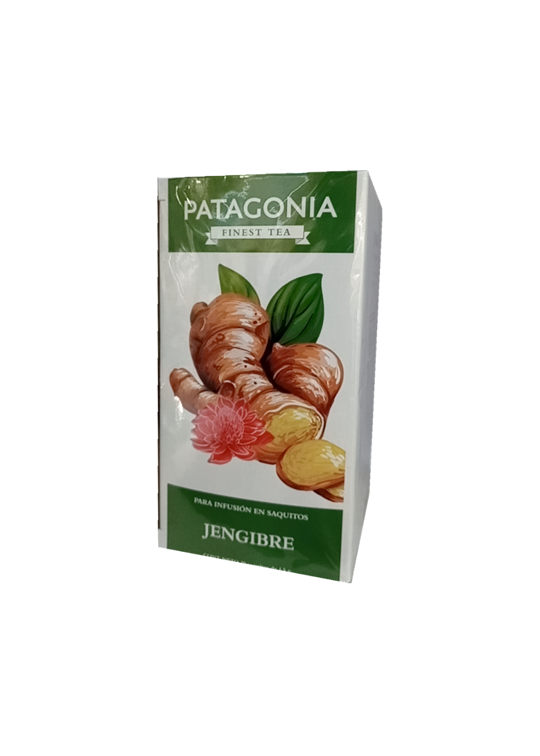 PATAGONIA PATAGONIA JENGIBRE 20U