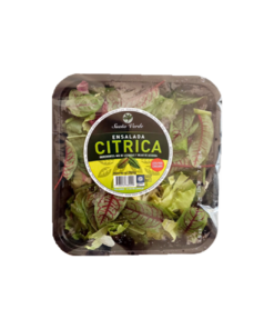 SUENO VERDE ENSALADA CITRICA 200G