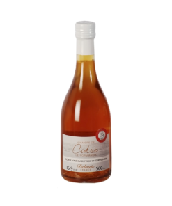 SAN GIORGIO VINAGRE DE SIDRA DELOUIS 500M