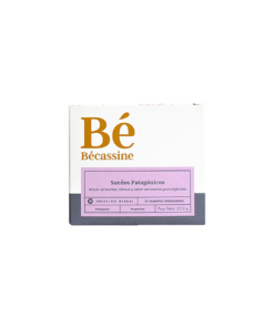 BECASSINE BECASSINE SUENOS PATAGONICOS15