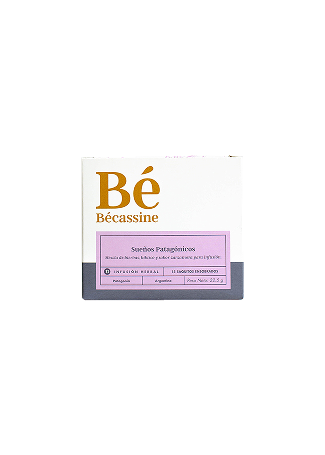 BECASSINE BECASSINE SUENOS PATAGONICOS15