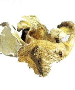 HONGO GIRGOLA 50G