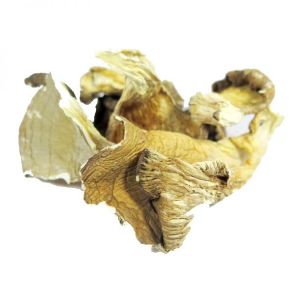 HONGO GIRGOLA 50G