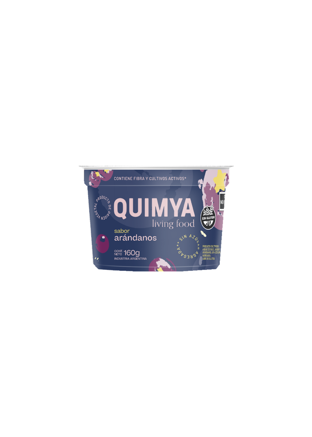 QUIMYA YOGUR ARANDANOS S/A 160G